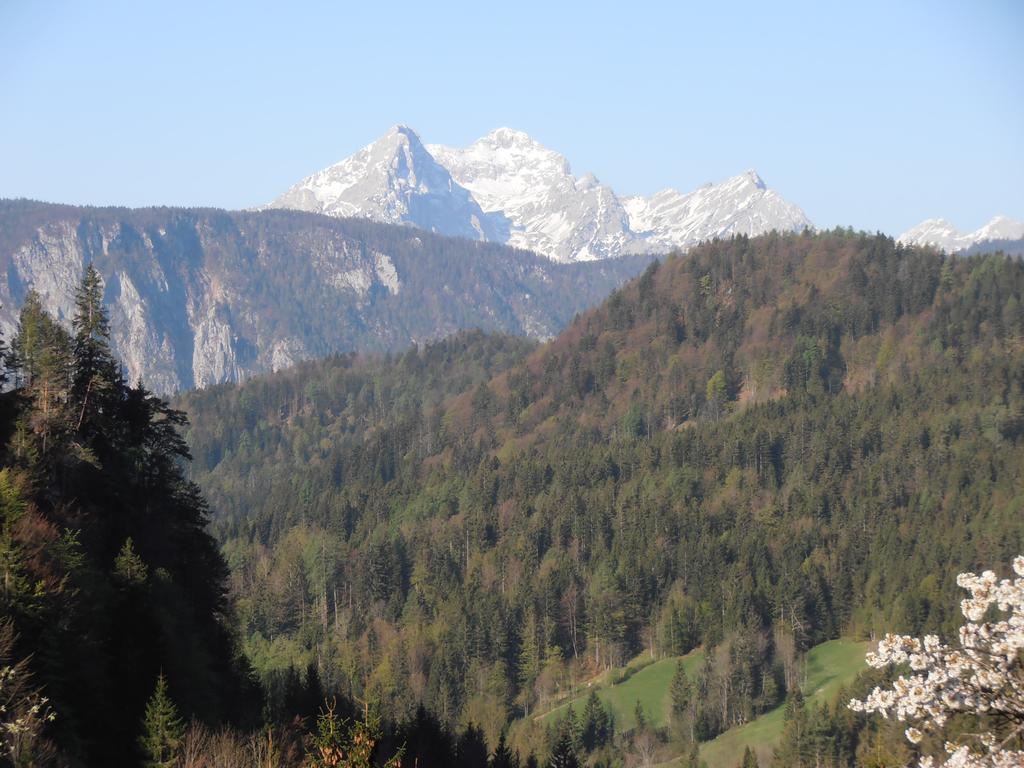 Penzion Pr' Betel Jesenice Luaran gambar